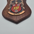 Historic Families Simmons/Simmonds Coat of Arms Heraldry Shield Wall Plaque — photo 4