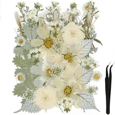 50Pcs Large Dried Pressed Flowers for Resin Molds, Real Dry Natural Flower Leaf