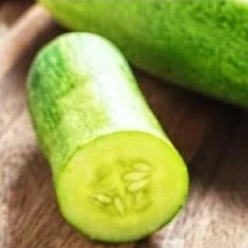 Straight Eight Cucumber Seeds | NON-GMO Cucumber Seeds | Heirloom Garden Seeds