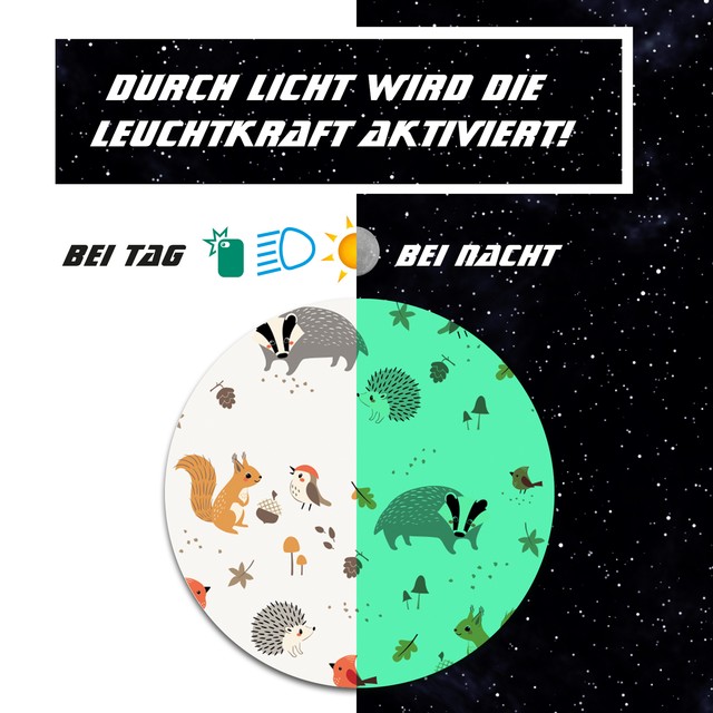 Folien Set Tiere des Waldes Nachtleuchtend für Tonie Lauscher Toniebox Y055-28 Folien Set Tiere des Waldes Nachtleuchtend für Tonie Lauscher Toniebox Y055-28