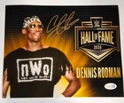 Dennis Rodman Signed METALLIC Photo 8x10  NWO Bulls Worm Autograph HOF JSA HOGAN
