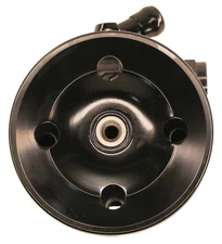 Power Steering Pump-LE Lares 13875