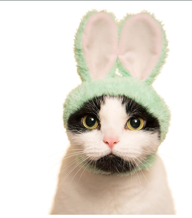 Kitan Club Cat Cap Pet Hat Blind Box Cute Styles Rabbit Green