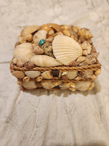 3 Hand Crafted Sea Shell Jewelry Boxes - Picture 12 of 17