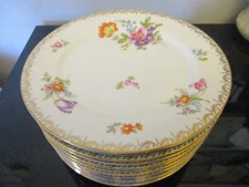12 Vintage Rosenthal Continental Meissen White Floral Gold Gilt Dinner Plates!
