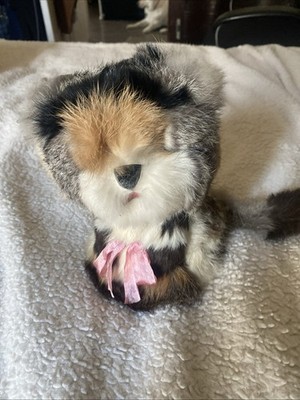 VTG Fluffy Hobble Head Cat Kitten 1960 s