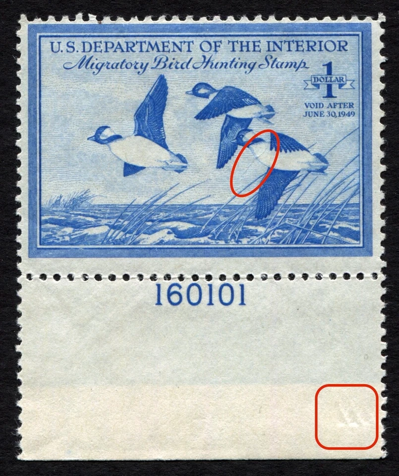 RW15 FINE MNH Plate# (Small imperfections) 1948 Buffleheads Federal Duck Stamp - Image 2 of 3