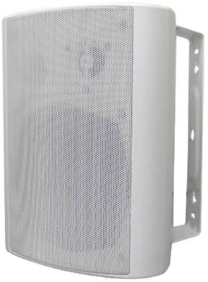 Pro Signal PS-GHMSWMW Supporto Da Parete Per Google Home Mini - Colore Bianco, Gestione Cavi Integrata, Facile Installazione Su Parete O Perno