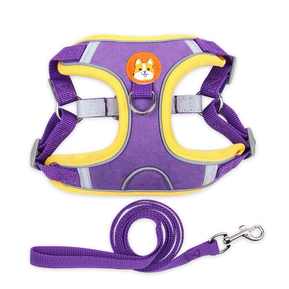 Dog Harness Set No Pull Adjustable Reflective Breathable Harness French Bulldog