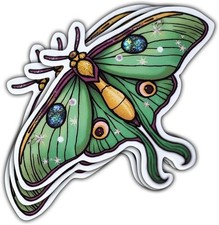 3pcs Butterfly Sticker, Butterfly Vinyl, Butterfly Sticker, Wildlife Water Bot