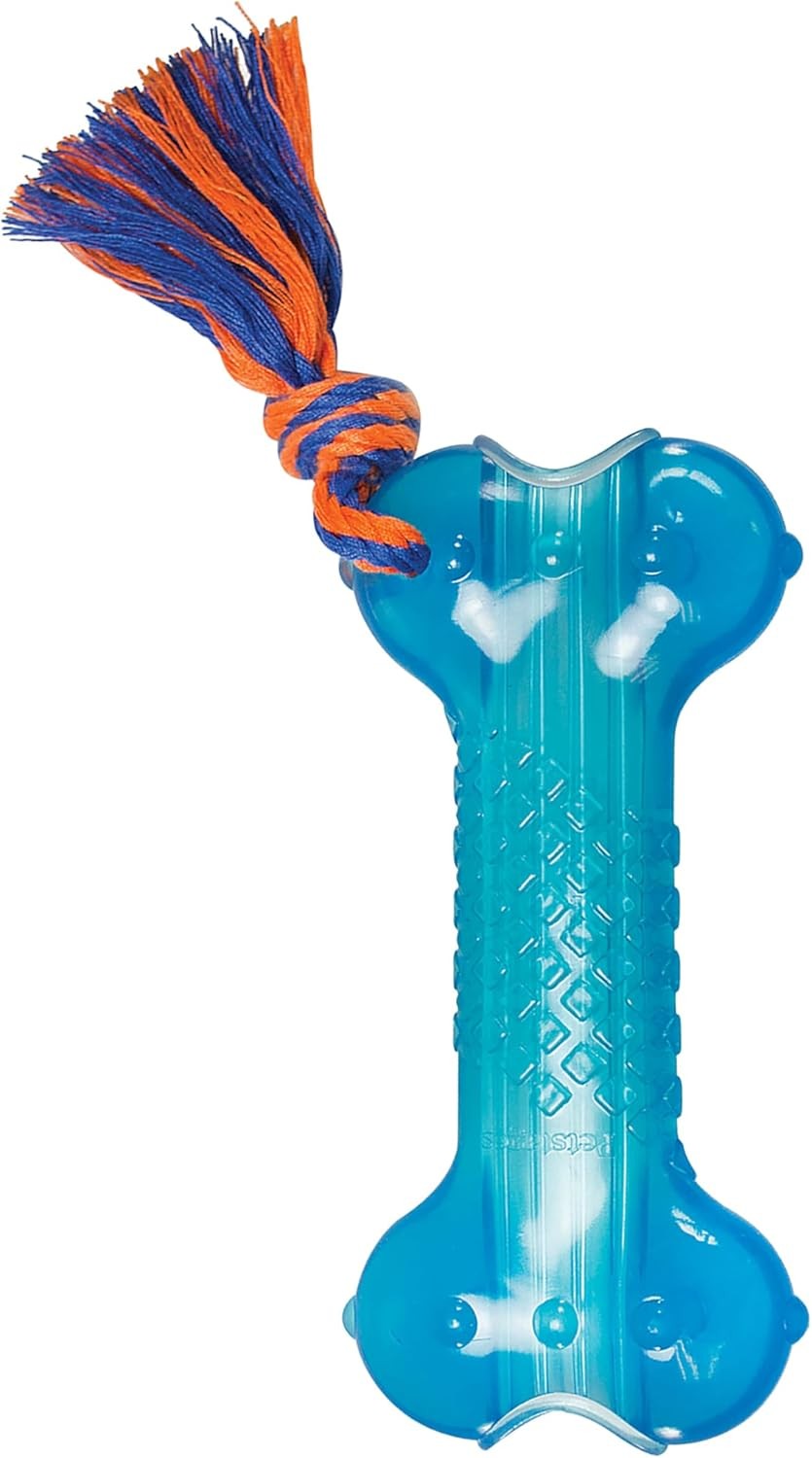 Petstages Orka Bone Royal Blue Large (Pack of 1), (Royal Blu