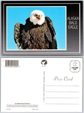 Continental Alaska Bald Eagle Wildlife Postcard