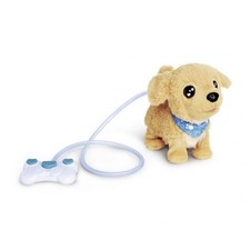 Simba ChiChi Love Loomy Golden Retriever
