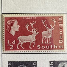 1963 South Georgia Reindeer Stamp/Queen Elizabeth II/1/2 d/MNH/OG👑