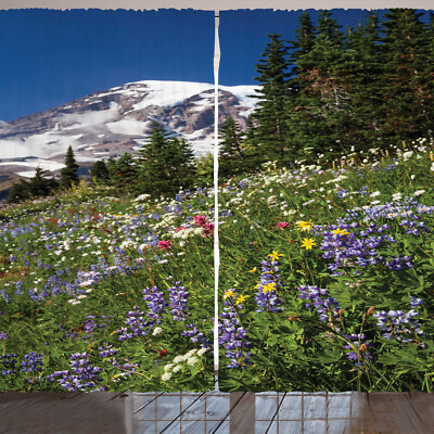 Mount Rainier Rustikale Gardine Frühling Nationalpark