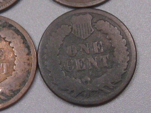 9 1880's Indian Head Pennies *Look at Dates*. #20 - Picture 21 of 22