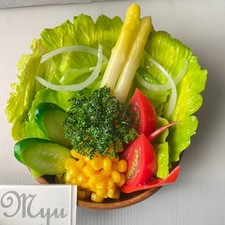 Fake Food Sample Green Salad Japanese Handmade Faux Display Prop Replica