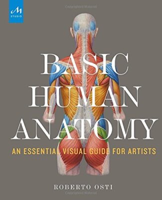 Basic Human Anatomy: An Essential Visual Guide for Artists by Roberto Osti