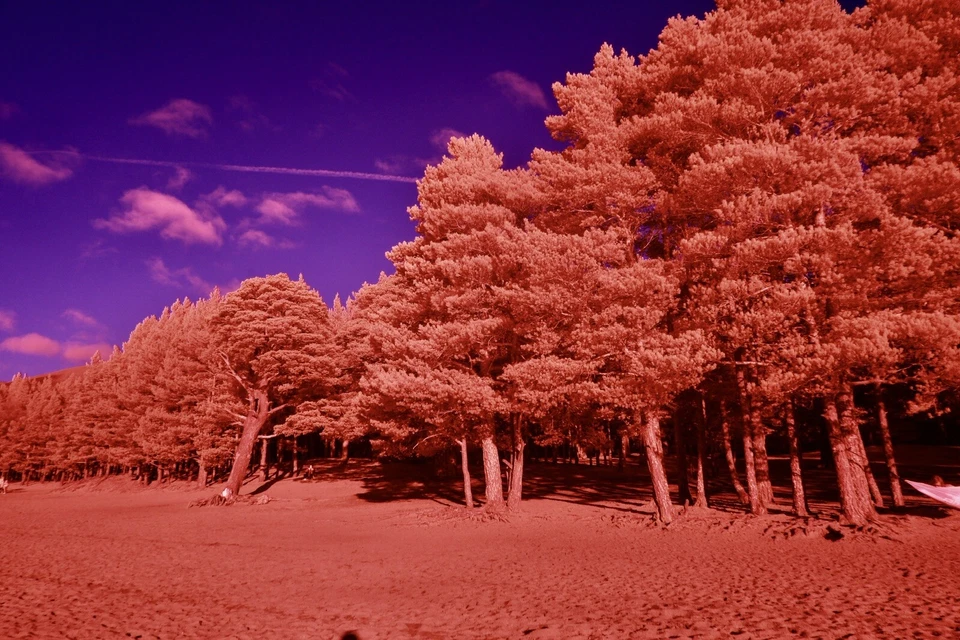 Aerochrome IR-Chrome 49mm filter, Infrared  *** SEE VIDEO *** for Full Spectrum - Image 3 of 4