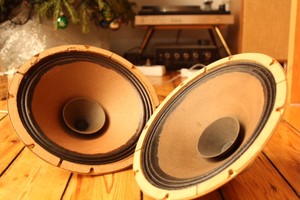 philips 12 inch full range speaker