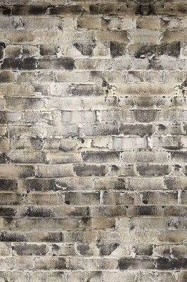 Savage Printed Vinyl Backdrop - Smoky Brick - 5'x7'