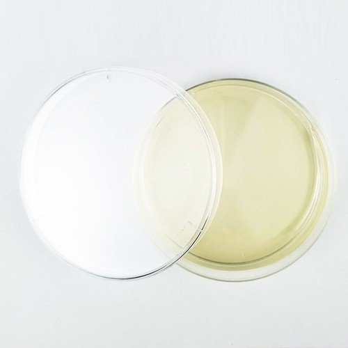 Nutrient Rich Indoor Air Quality Test Kit for Home and Industrial Applications