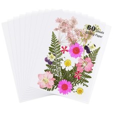 60 Sheets Blotting Paper For Flower Press 6x8 Inch A5 Reusable Herbarium Kit