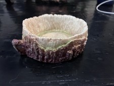 Natural Look Reptile Water or Food Dish