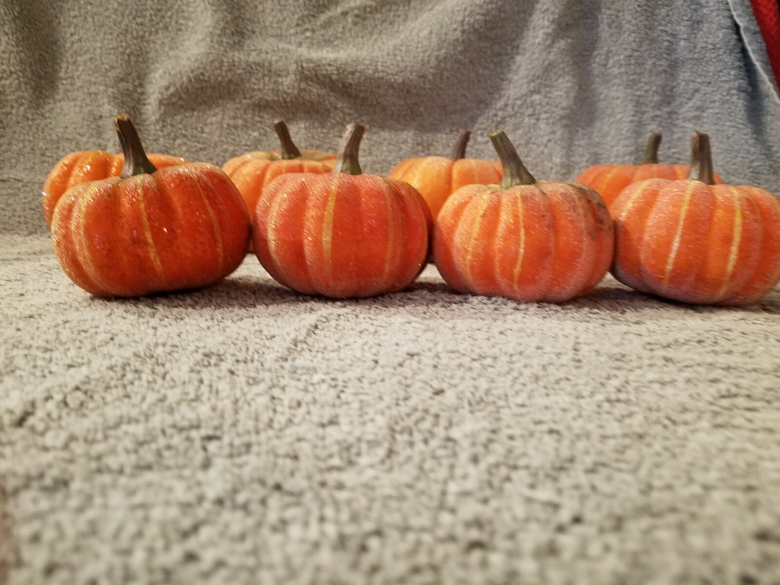 Picture 22 of 24