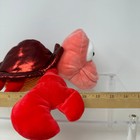 Bild 13 von 13