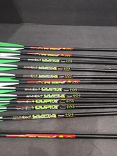 12PK 20" Archery Carbon Arrows Target Practice Hunting Arrows Cupid