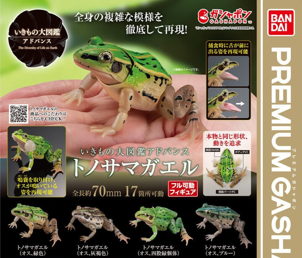 Black-spotted Pond Frog Figure Set of 4 Bandai Creature