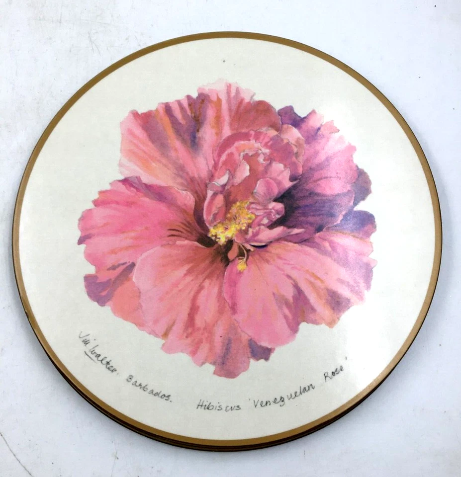 Pimpernel Jill Walker Hibiscus Juego de 4 manteles individuales 10" acrílico y corcho Inglaterra Foto 4 de 4