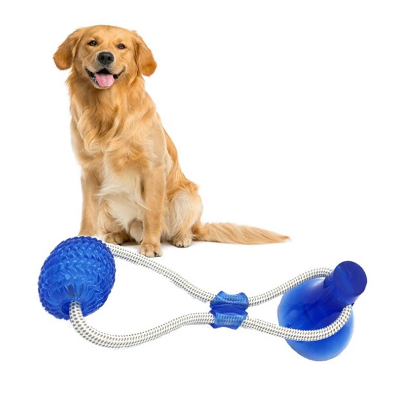 Floor suction sale dog toy