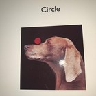 Picture 19 of 21