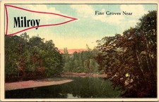 Milroy Fine Groves Near Divided Back Postcard