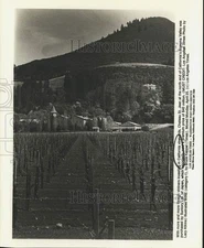 Press Photo Chateau St, Jean purchased by Suntory Ltd. of Japan. - sax19299