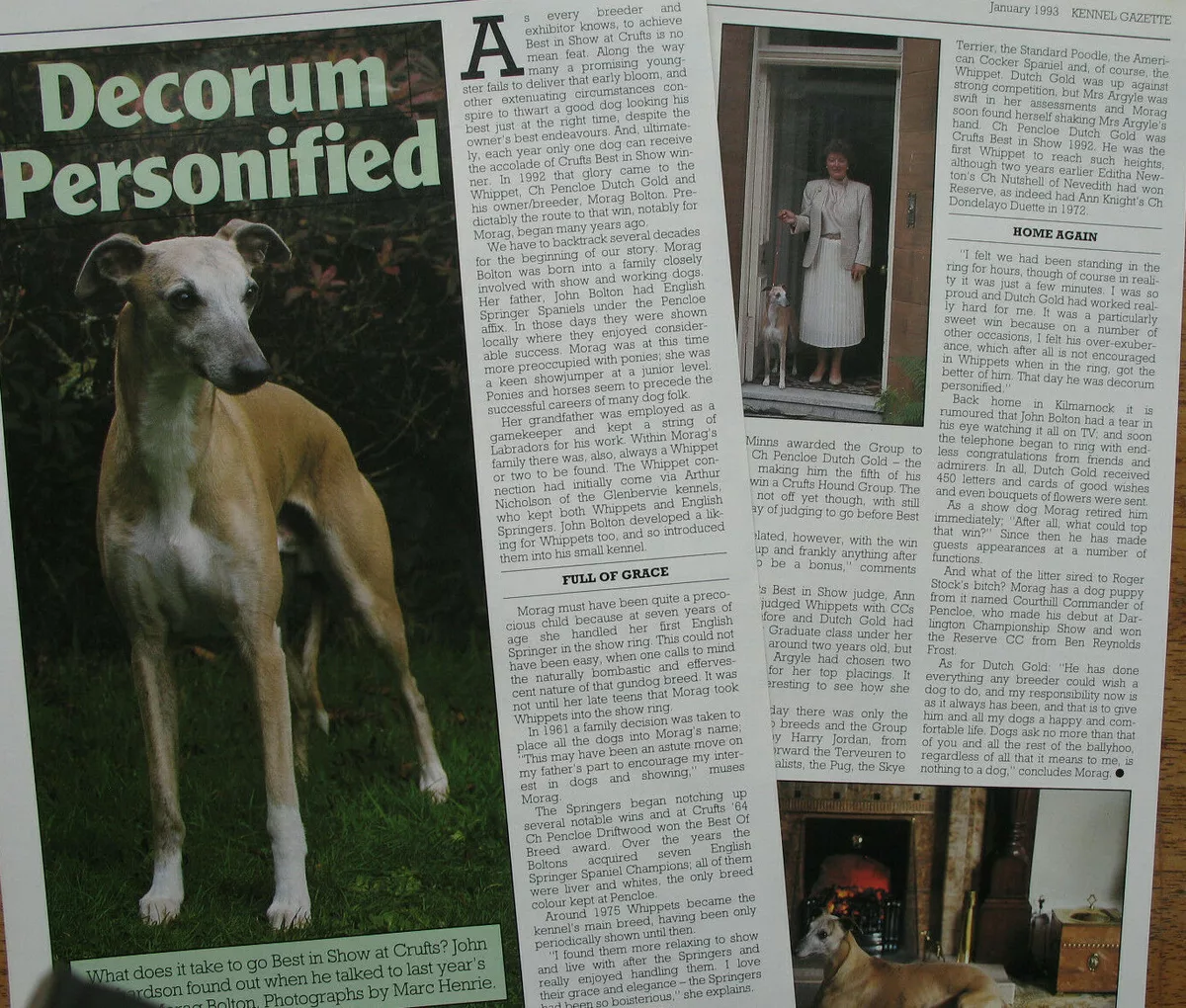 WHIPPET DOG BREED KENNEL CLIPPINGS all from 1990s 2010S x 44 eBay