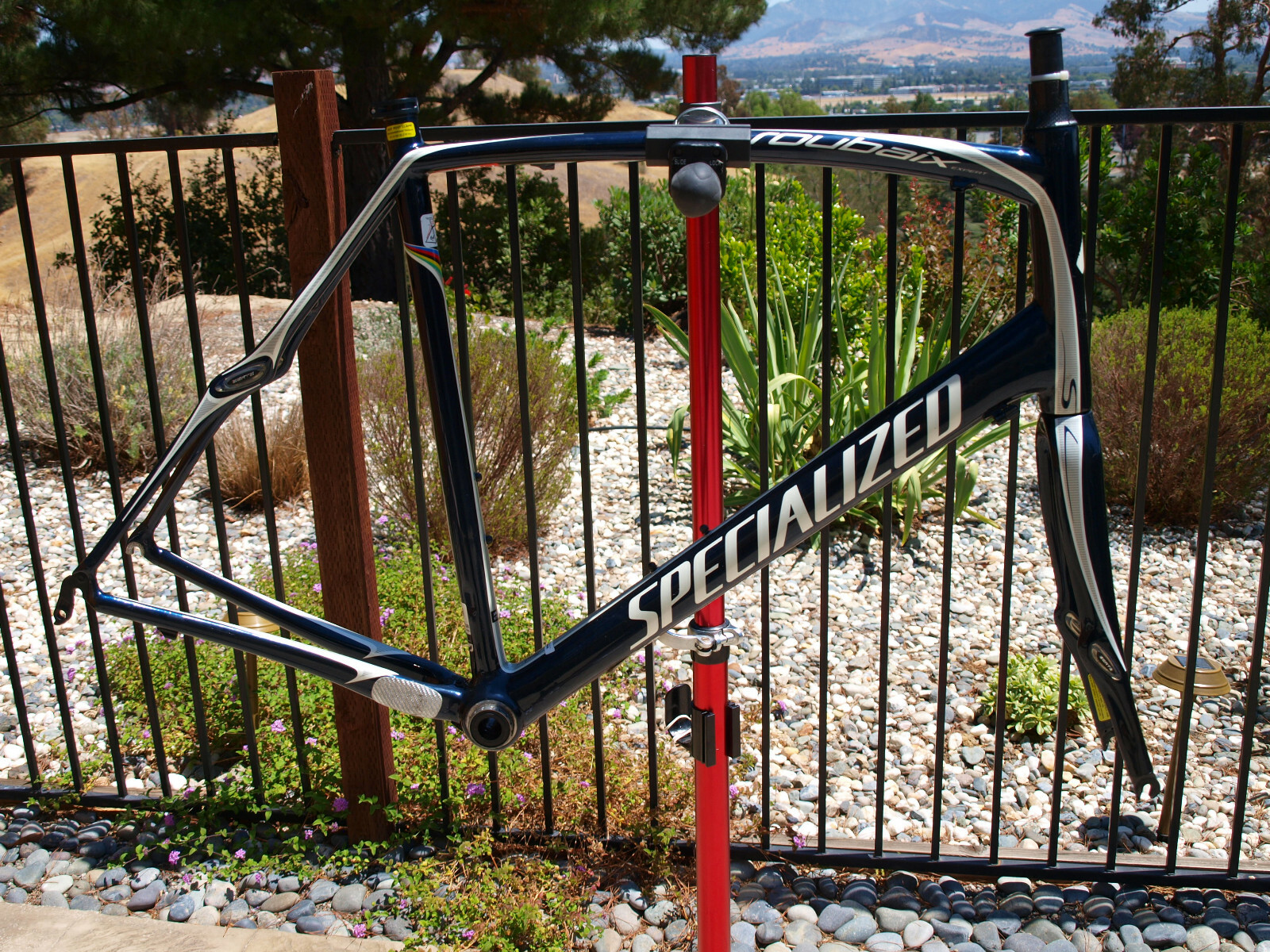 Specialized Roubaix Expert SL CarbónFiber Road Bike Frameset & Fork 61