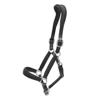 Kieffer Stallhalfter Ultrasoft® Deluxe, Leder - Schwarz - Vollblut Pferdehalfter