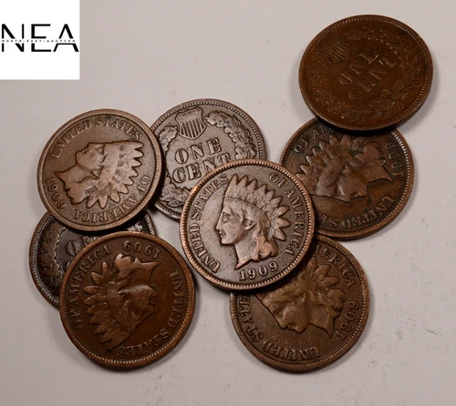 (8) 1909 Indian Head Penny Cent Set/Lot ~ Good/Very Good/Fine ~ 8 Coins ~ ZIL38