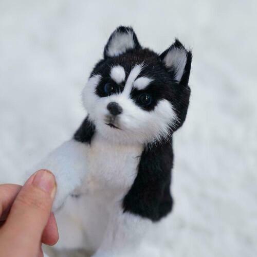 Realistic Husky Dog Simulation Toys Dog Puppy Lifelike New Stuffed Toys Hot~ - Picture 5 of 10