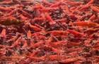 Foto 2 di 8