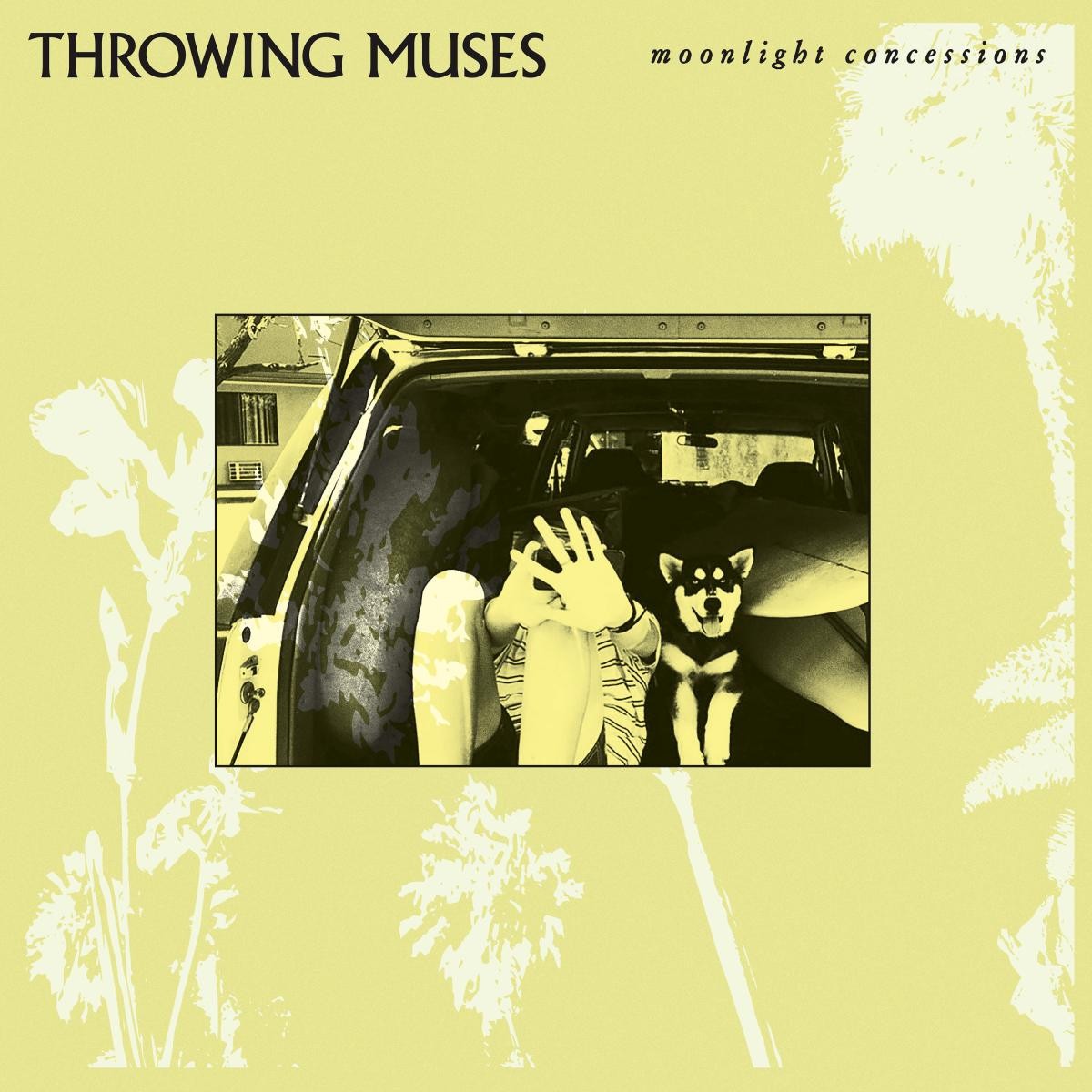 Throwing Muses Moonlight Concessions Vinyl LP Transparent Limited Edt. New