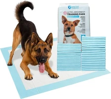 Dog Training Pads Ultra-Absorbent Scented Blue Pet Pads 24 x 24 - Large 40 Pack