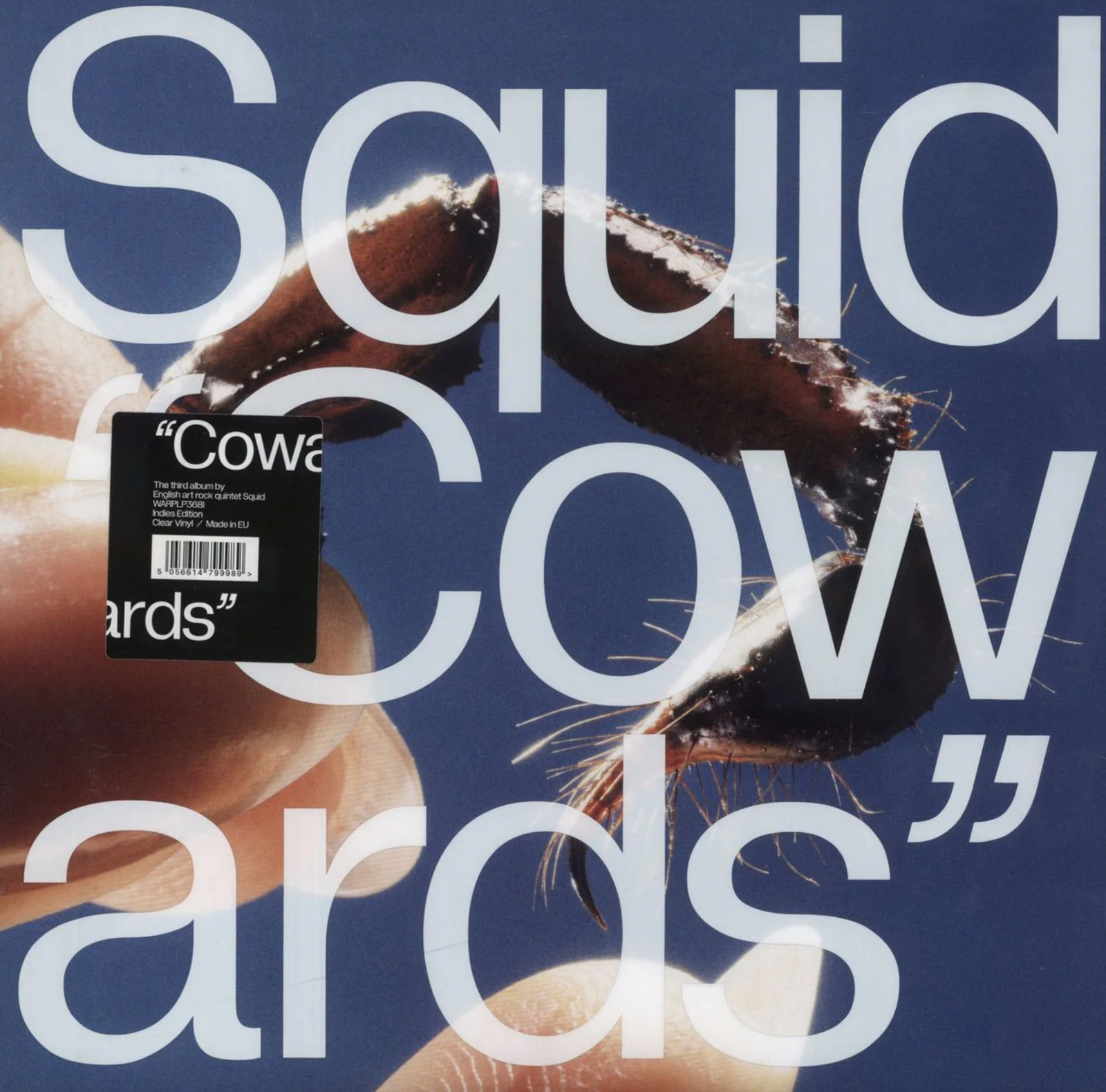 Squid - Cowards - CLEAR Vinyl LP, Brand New & Sealed! (Warp Records)