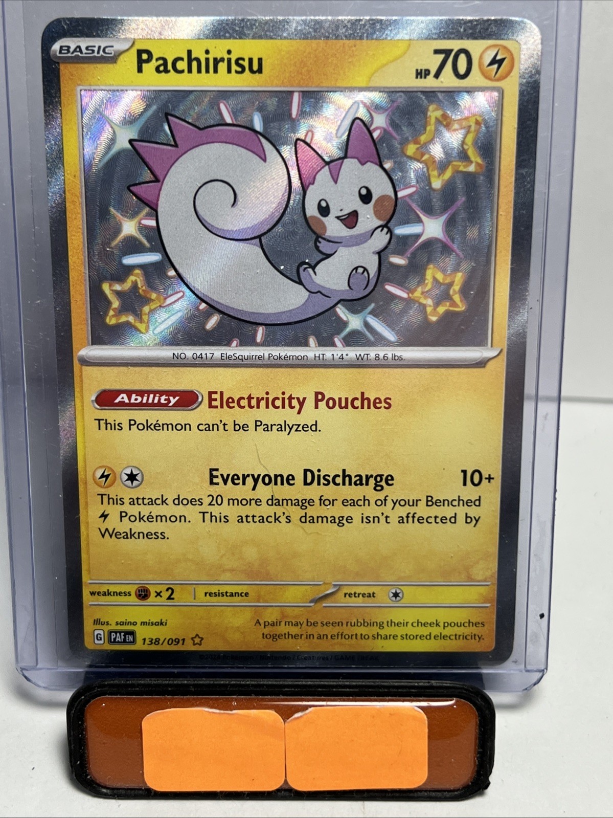 Pachirisu, 138/91, Paldean Fates, Shiny Holo Rare, NM