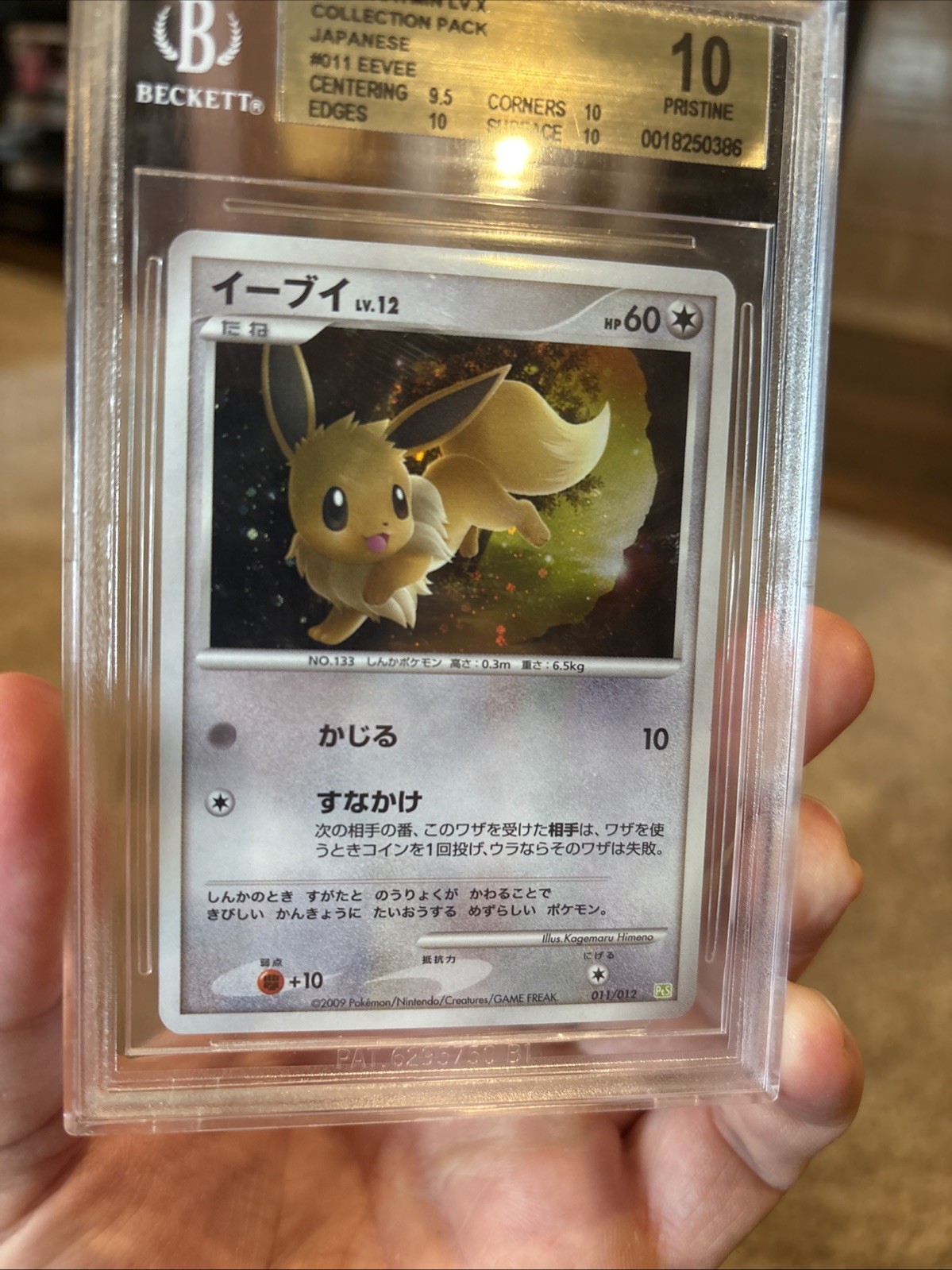 2009 POKEMON JAPANESE SHAYMIN LV.X COLLECTION PACK EEVEE #011 HOLO BGS 10 POP 1 view 8