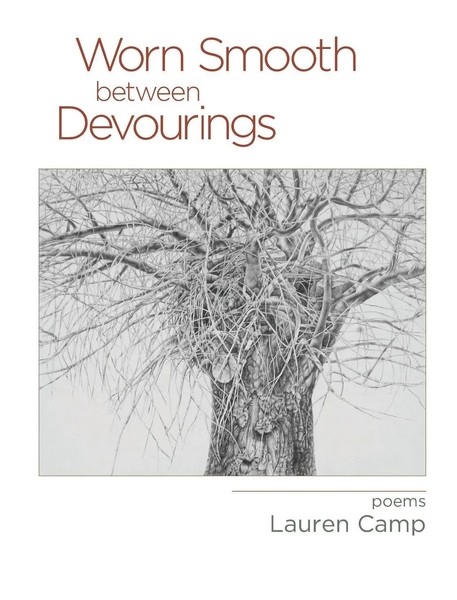 Lauren Camp | Worn Smooth Between Devourings | Taschenbuch | Englisch (2023)-image