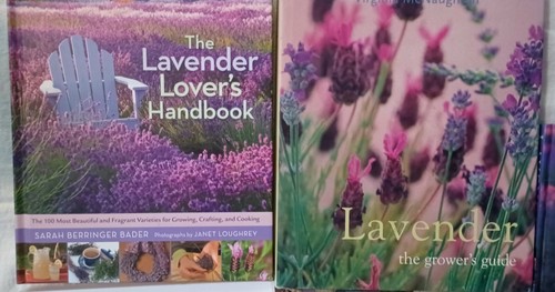 LOT Five Hard & Soft back Books on LAVENDER Growing, Cooking, Crafting and More! - Bild 2 von 4